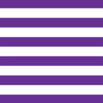 Purple Horizontal Stripe